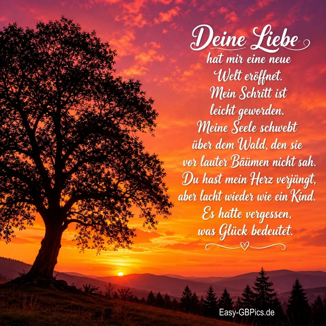 Deine Liebe hat mir eine neue Welt eröffnet. Mein Schritt ist leicht geworden. Meine Seele schwebt über dem Wald, den sie vor lauter Bäumen nicht sah. Du hast mein Herz verjüngt, aber lacht wieder wie ein Kind. Es hatte vergessen, was Glück bedeutet.