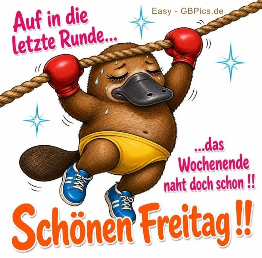 Auf in die letze Runde, das Wochenende naht doch schon! Schönen Freitag!