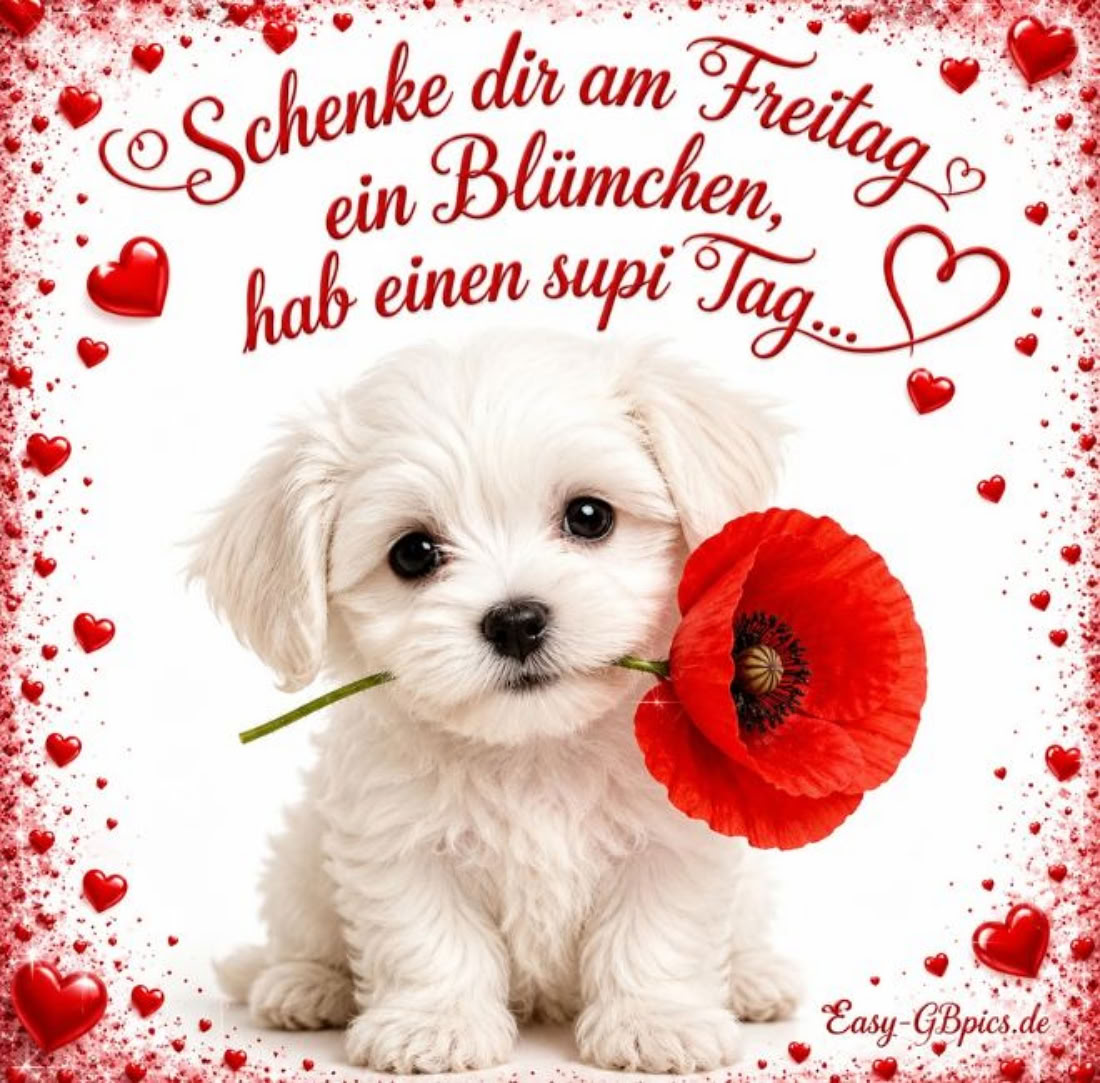 Schenk dir am Freitag ein Blümchen, hab einen supi Tag.