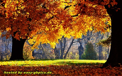 GB-Pic Herbst Gruesse