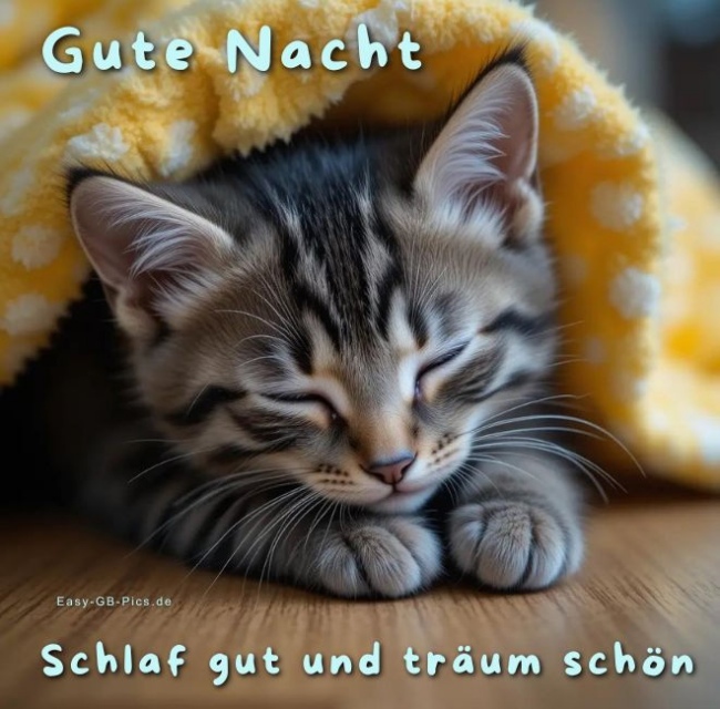 Gute Nacht träum schön
