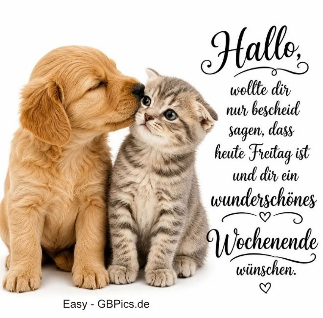 Freitag - Wochenende