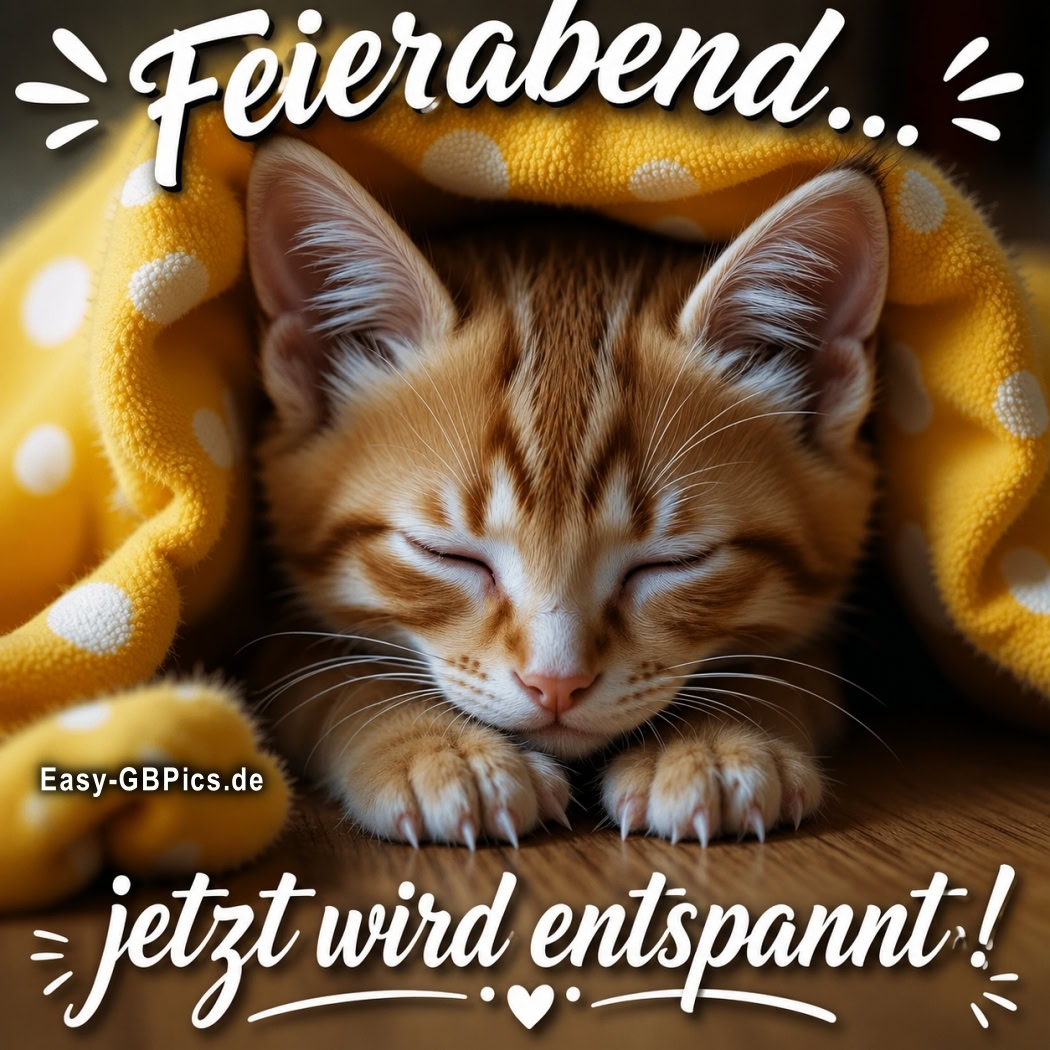 Feierabend-Modus aktiviert ! Entspannung für Fortgeschrittene. Diese Katze versteht das Leben.<br />
Wenn der Feierabend ruft...Zeit für Kuschelzeit und Entspannung.
