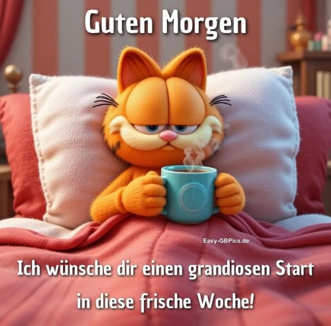 Guten Morgen - schönen Wochenstart