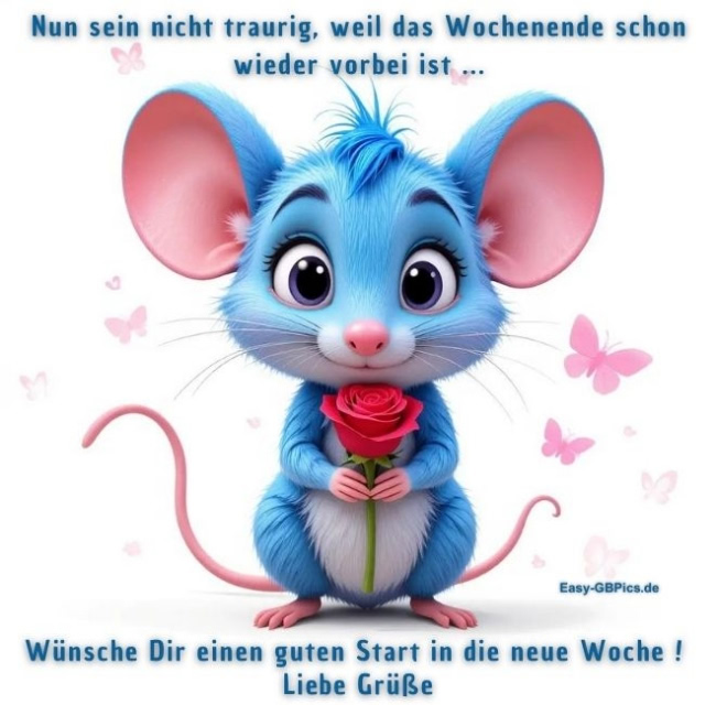 Wochenstart Gruss