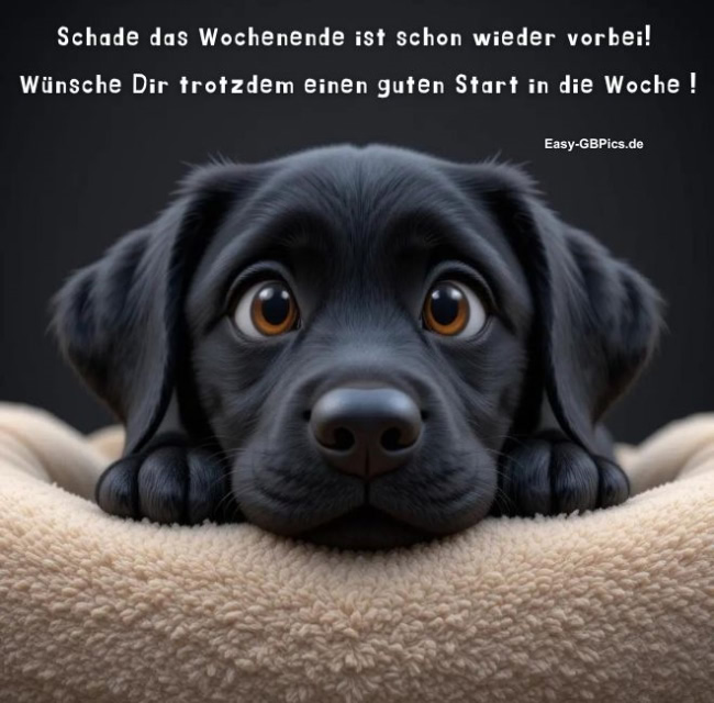 Wochenstart Grüsse