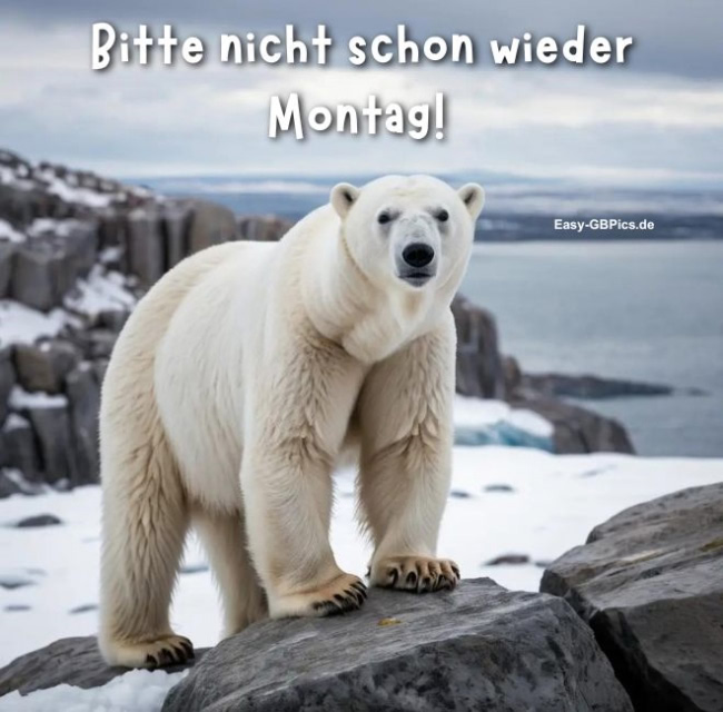 Montagsgruss