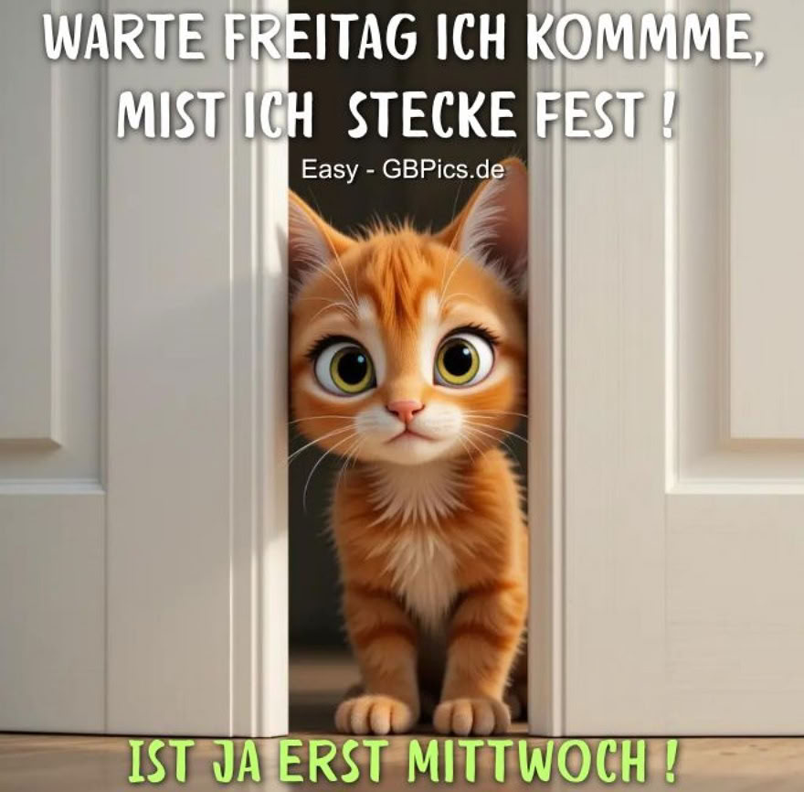 Warte Freitag ich kommme, mist ich stecke fest! Ist ja erst Mittwoch!
