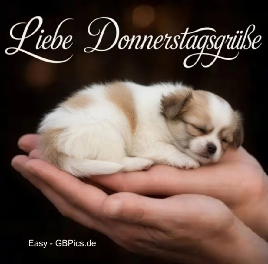 Liebe Donnerstagsgrüße.