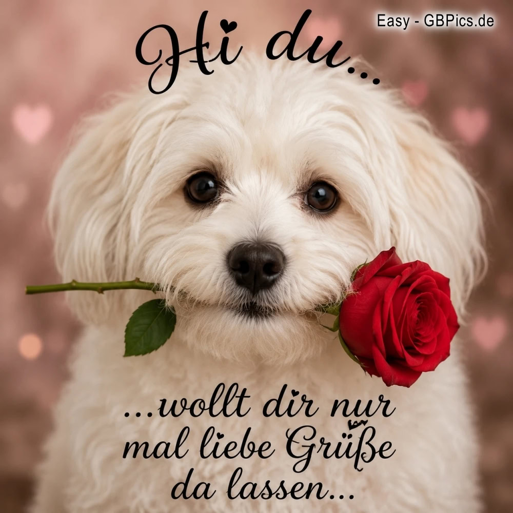 Hi du, wollt dir nur mal liebe Grüsse da lassen.