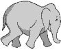 Elefant Animation