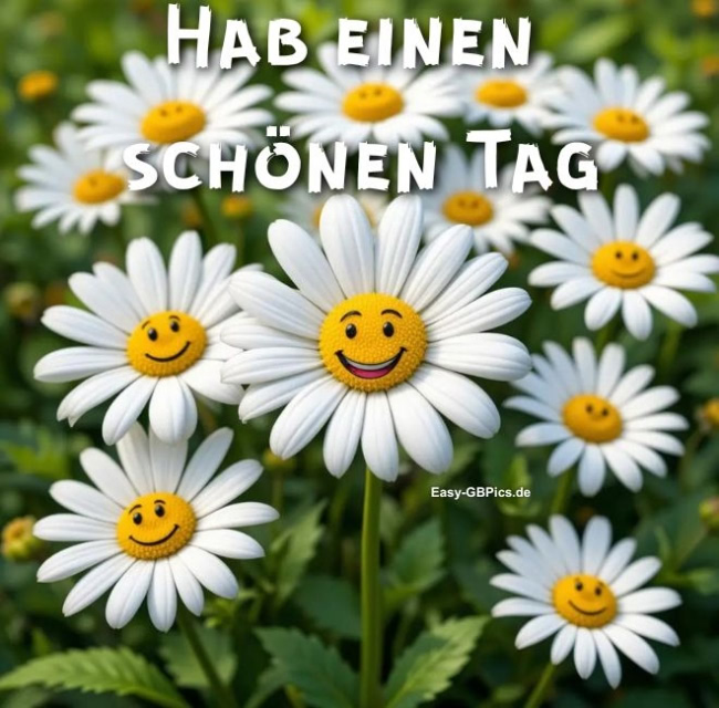 Hab einen schönen Tag