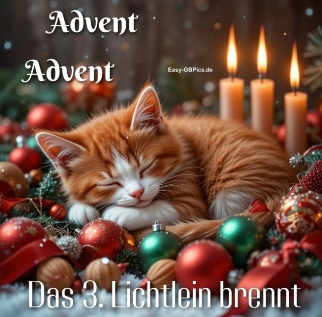 Dritter Advent Spruch