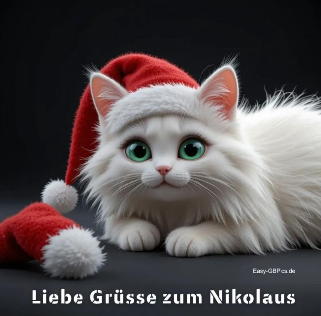 Liebe Nikolausgrüße