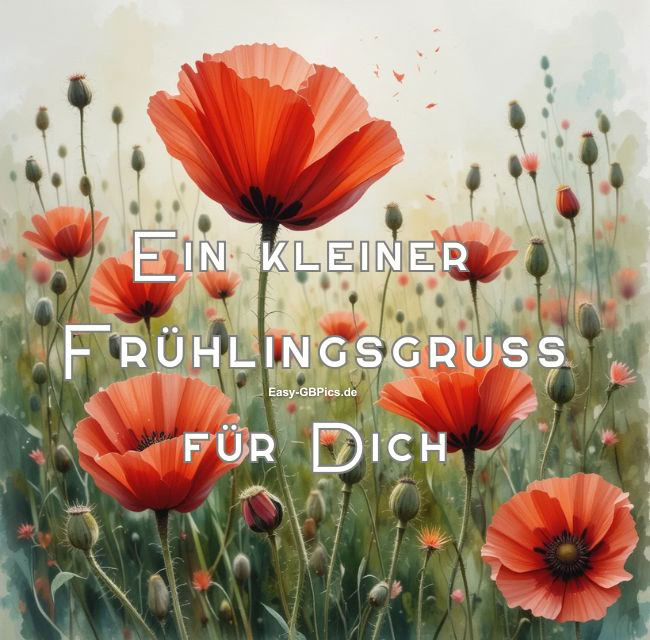 Frühlings Bild
