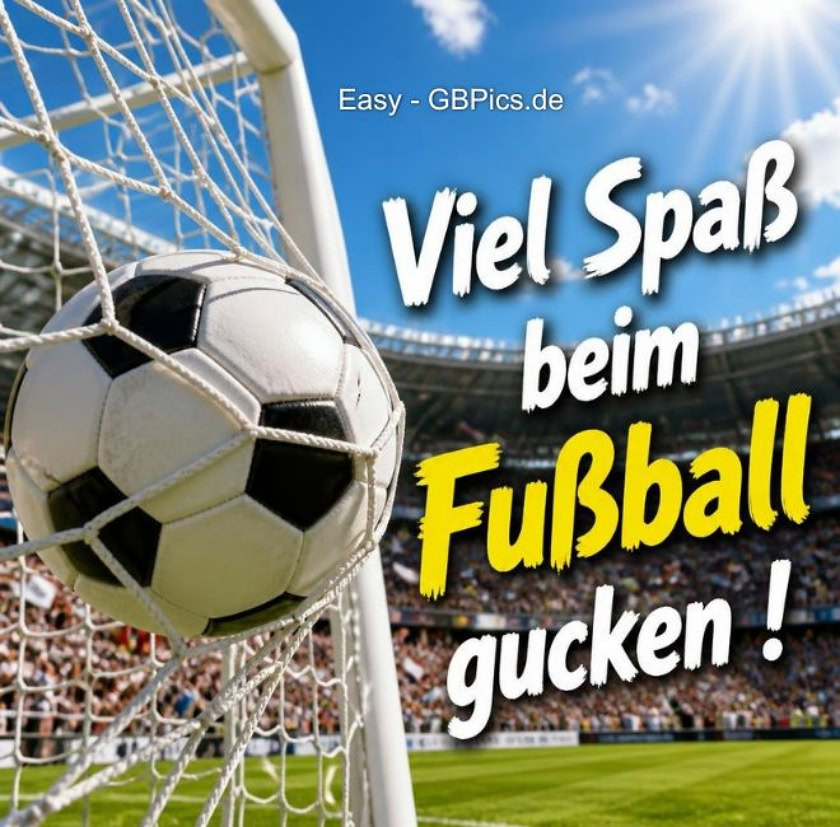 Fussball Weltmeisterschaft