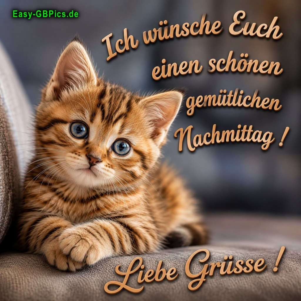 Nachmittagsgrüße