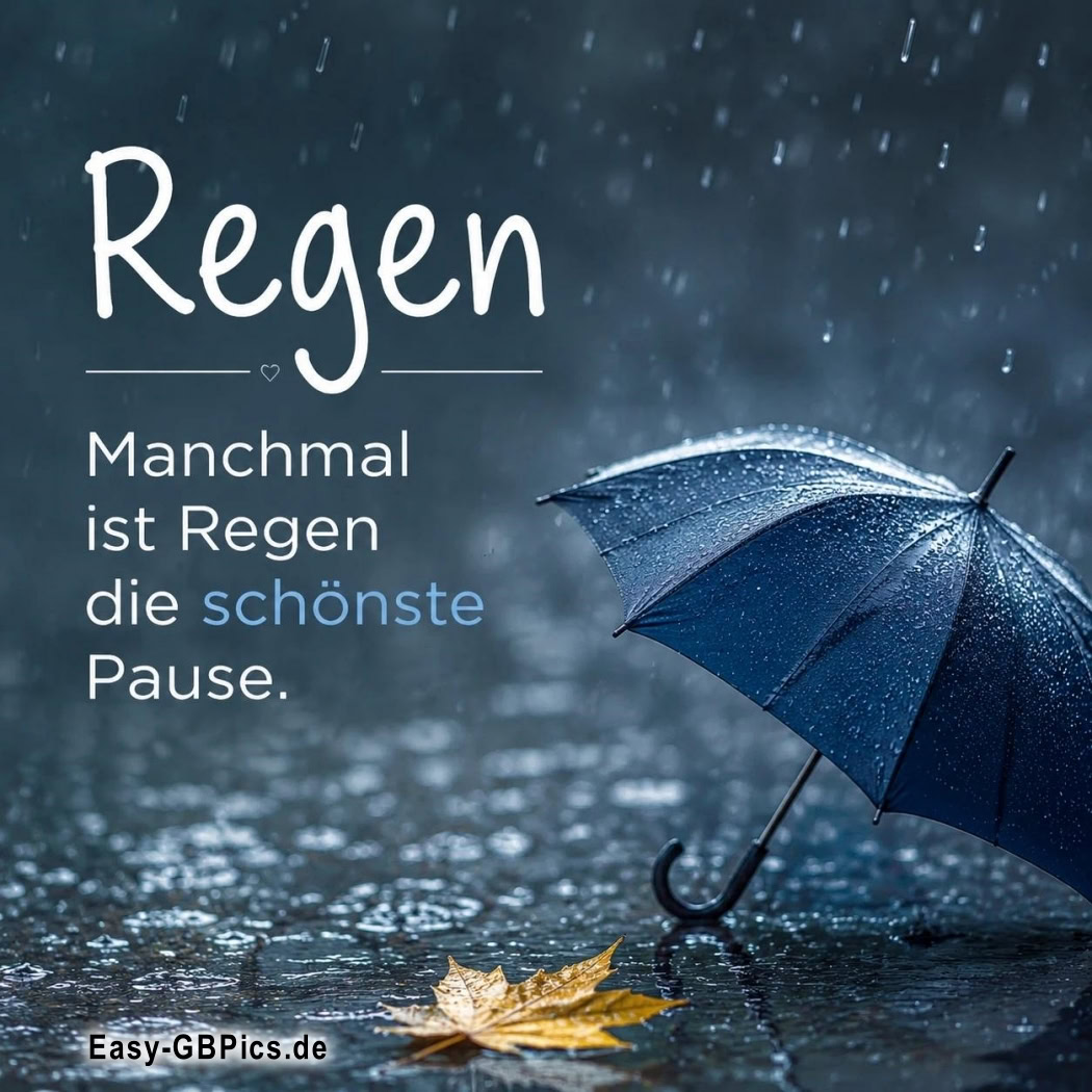Manchmal ist Regen die schönste Pause.