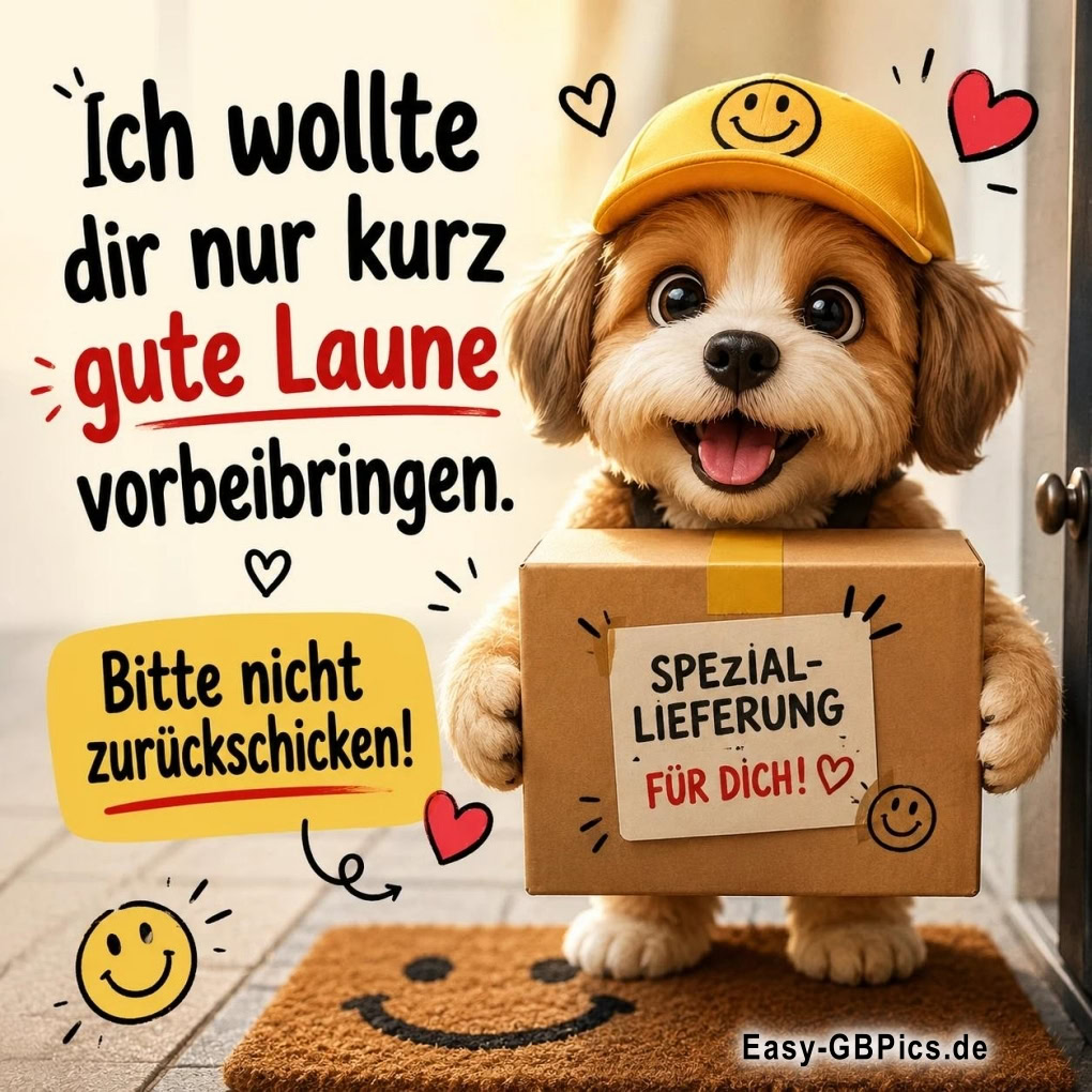Ein kleiner Sonnenschein auf vier Pfoten, der deine gute Laune liefert.