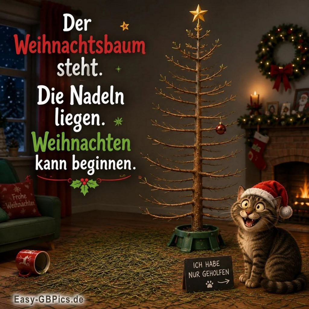 Mein Fellnasen-Weihnachtshelfer: Mission "Nadeln verteilen" erfolgreich abgeschlossen!