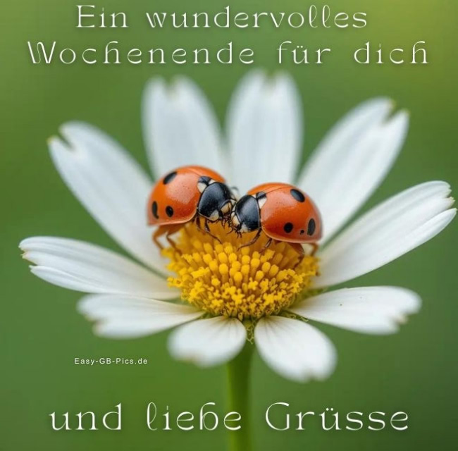 Wundervolles Wochenende