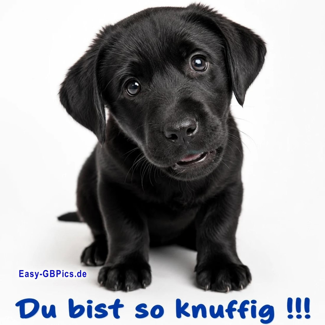Du bist so knuffig!