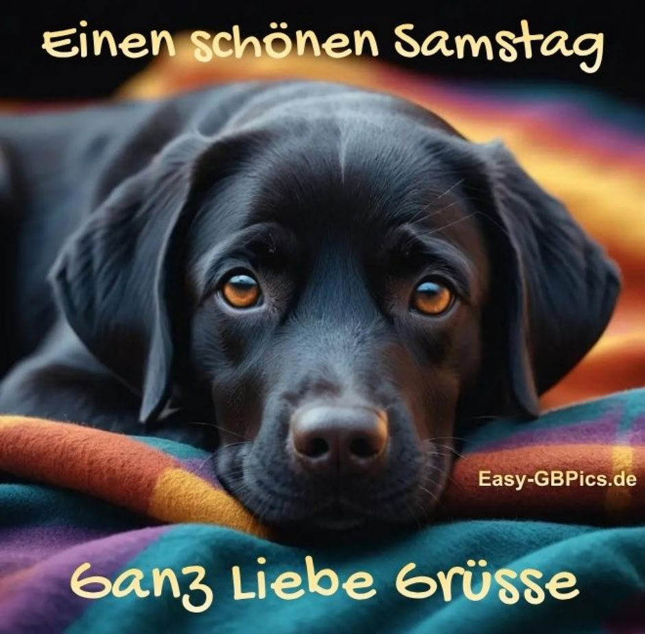 Samstag Grüße