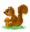 Eichhörnchen Animation