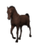 Pferd animiert - Animation