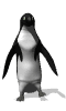 Pinguin Animation