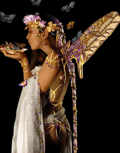 Engel und Elfen Gästebuchbild