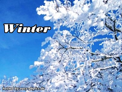 Winter GbPic