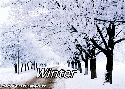 Winter GB-Bild