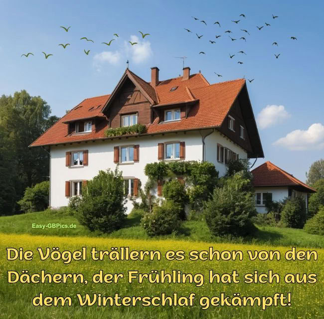 Frühlingsbild