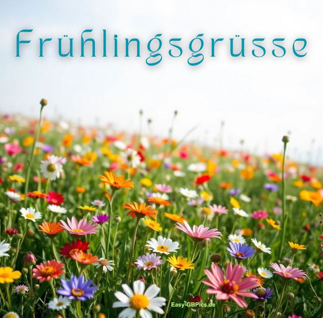 Frühling