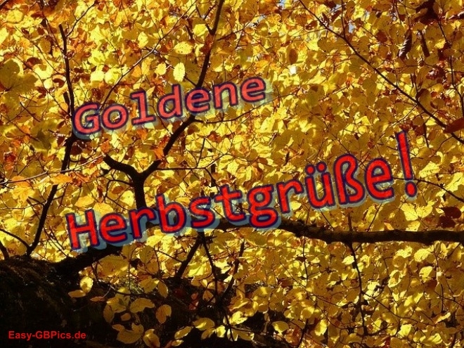Goldene Herbstgruesse
