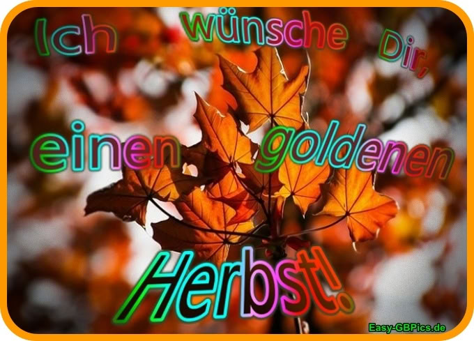 Goldene Herbstgrüsse