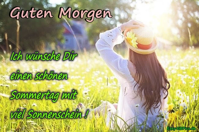 Guten Morgen Sommergruß Guten Morgen Sommergruß